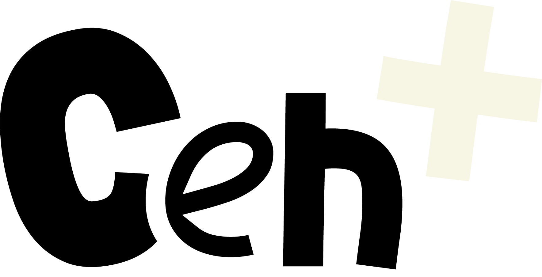CEHLider